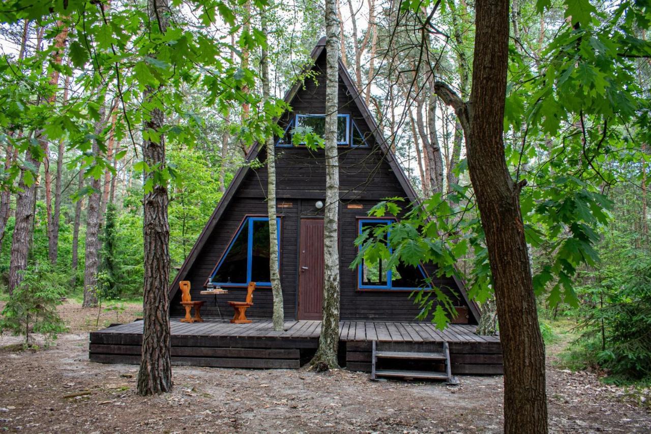 Domki W Wildze Skurcza Extérieur photo