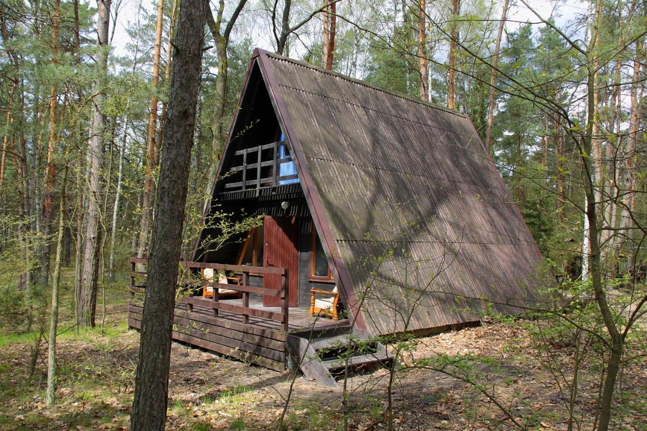 Domki W Wildze Skurcza Extérieur photo